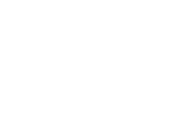 The Zen Wellness